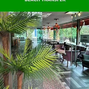 book here