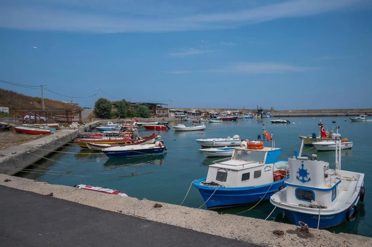 Villa Siesta Hotel Istanbul Airport Karaburun   Karaburun (Arnavutkoy)